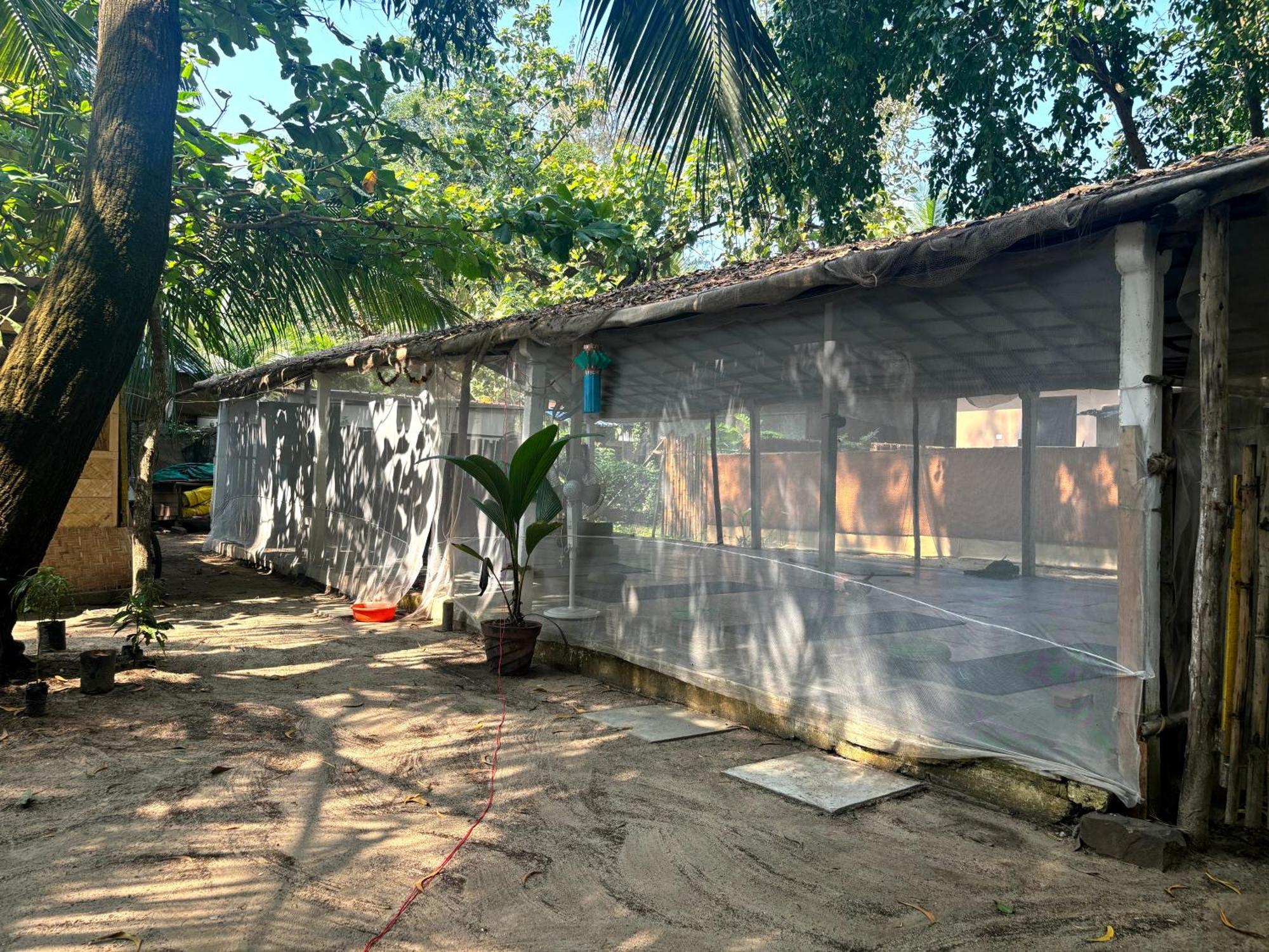Ruban Yoga Otel Palolem Dış mekan fotoğraf